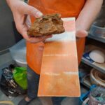 recherche à base de terre suvage